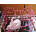 Usine de cage de lapin rose